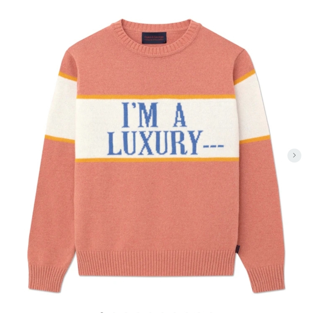 ISO I'm a Luxury Few Can Afford Gyles & George x Rowing Blazers sweater pink